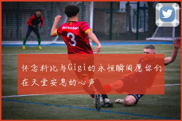 怀念科比与Gigi的永恒瞬间愿你们在天堂安息的心声
